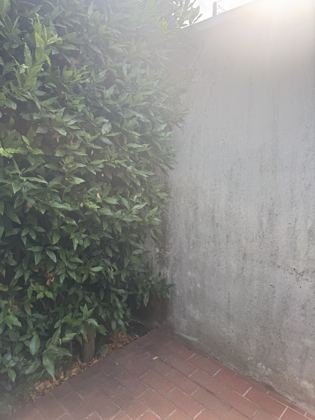 Photo de la maison