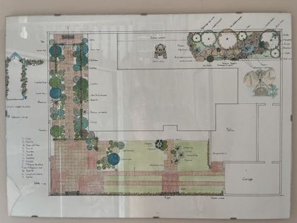 Plantes du jardin